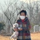 노블리안 형산 독채한옥풀빌라 이미지