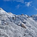 조은사람들 이미지