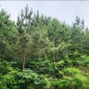 영부농장 이미지