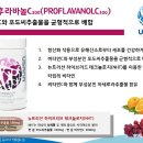 미래샘유치원 이미지