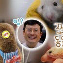 선 동물병원 이미지