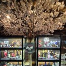 세븐일레븐 인천삼산본점 | [부평/굴포천역] 굴포천역 이자카야 추천, 재방문 안주 맛집 내돈내산 *진세이 삼산본점*