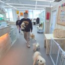 어울리개 이미지