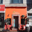 타비다코 이미지