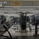 웰니스앤핏헬스PT동탄 이미지