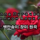 러시아의 여가수 알라 푸가체바(Alla Pugatcheva)의 "백만송이 장미(Million Alyh Roz)"가 원곡 이미지