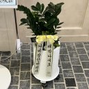 정산중학교 | [나비잠안마의자 동탄IX타워점] 화성/동탄/영천동 안마의자카페 체험후기