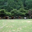 남강캠프 이미지