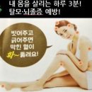 쵸이셀