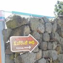 토피어리제주