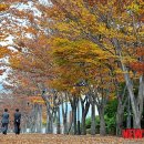 가을