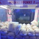 팡팡게임랜드 이미지