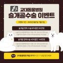 서초동물병원 이미지