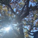 임초2리 마을회관 이미지