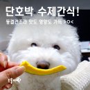 나의 강아지에게 | 나혼자산다 꽃분이간식, 견강하개 강아지 단호박 동결건조간식 후기