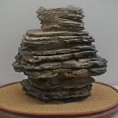 덕소자연사박물관 이미지