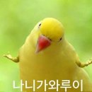 비솔루션스