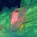 산천어낚시 이미지