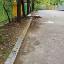 오동초등학교 이미지