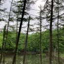 [트레킹] 운탄고도1330 5길: 정선 화절령(꽃꺼끼재) ~ 함백산 소공원(만항재)