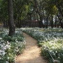 삼문송림길 네이버블로그