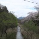 청강식당 이미지