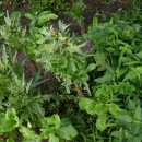 예곡농장 이미지