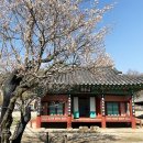 토담 이미지