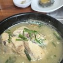 고흥삼계탕 | 마시마니 문어 앤 전복갈비찜 고흥 나로점 전복삼계탕 후기