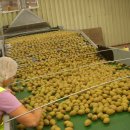 식이농장 이미지