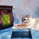 진성사료 이미지