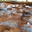 황토방민박 이미지