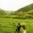 영이네민박 | 2. 영이네 민박 셀프 웨딩스냅 후기