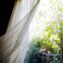 햇살좋은 이미지