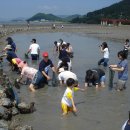 서중어촌체험마을 이미지