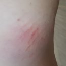 대정연합의원 이미지