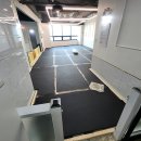 우리집첫째 이미지