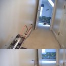 애견사랑 이미지