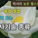 티헬스케어 이미지