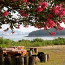 금호펜션 이미지