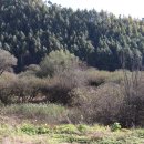 송전2리 이미지