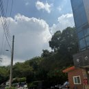 창박골원조보리밥 | 안양 점심 맛집 🍚 보리밥정식 &amp; 제육볶음 푸짐하게 즐기고 왔어요!