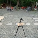 오드이븐 기장점 이미지