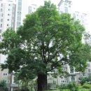 광흥창역(6) 이미지