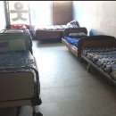 생활원예(주간) 이미지