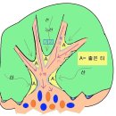 좋은터