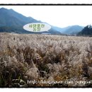 성현2농장 이미지