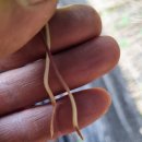 충대농약사 이미지