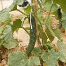 선린어린이집 이미지