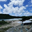 수영가든 이미지